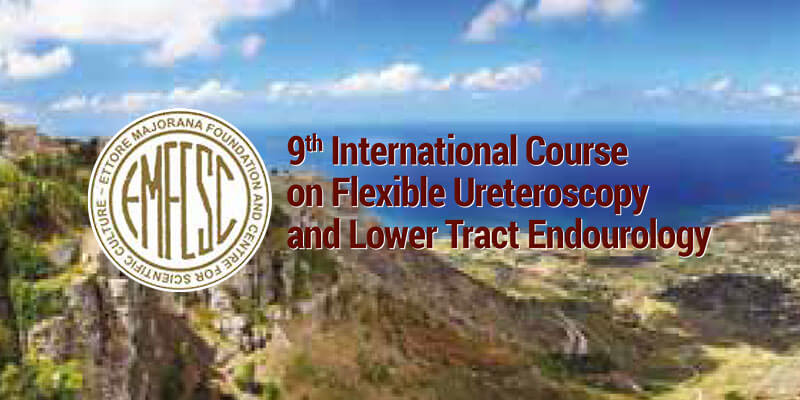 9th-International-Course-on-flexible-ureteroscopy-and-lower-tract-endourology-banner-cellulare