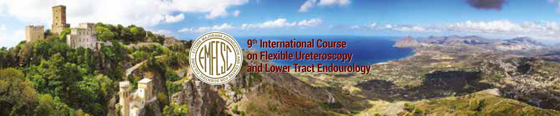 9th-International-Course-on-flexible-ureteroscopy-and-lower-tract-endourology-banner