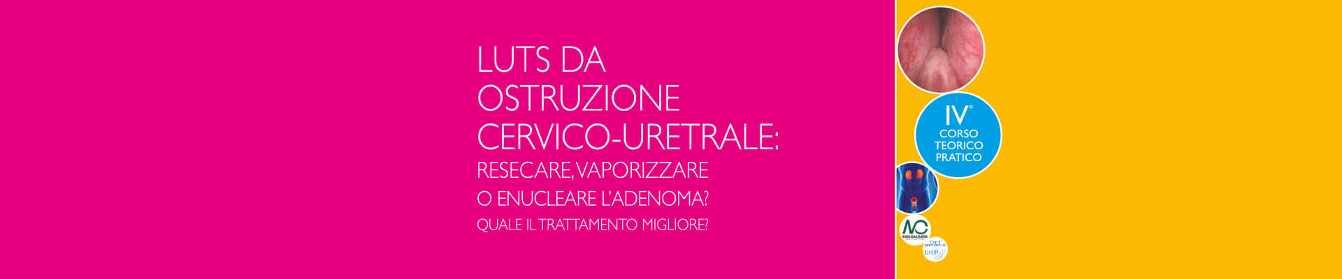 IV-Endourology-Course-banner